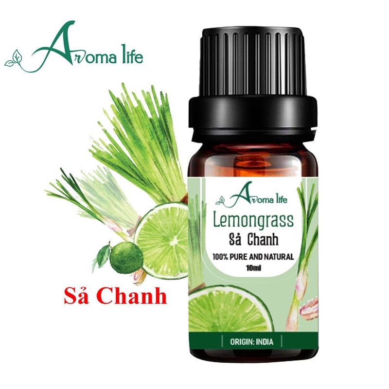 Tinh Dầu Thiên Nhiên Nguyên Chất Ấn Độ 10ml