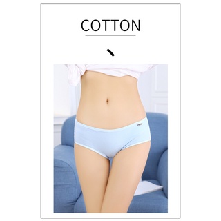 Combo 10 Quần Lót Nữ Cotton Pulo