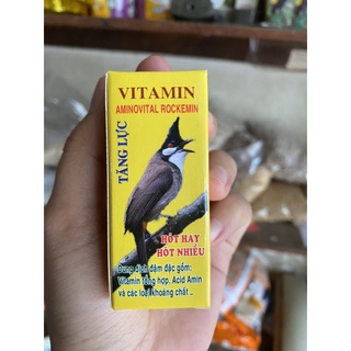 Vitamin tăng lực chim chào mào