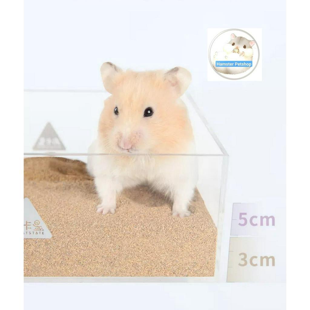 Cát sa mạc 1kg làm lót chuồng,cát tắm cho hamster và thú cưng nhỏ