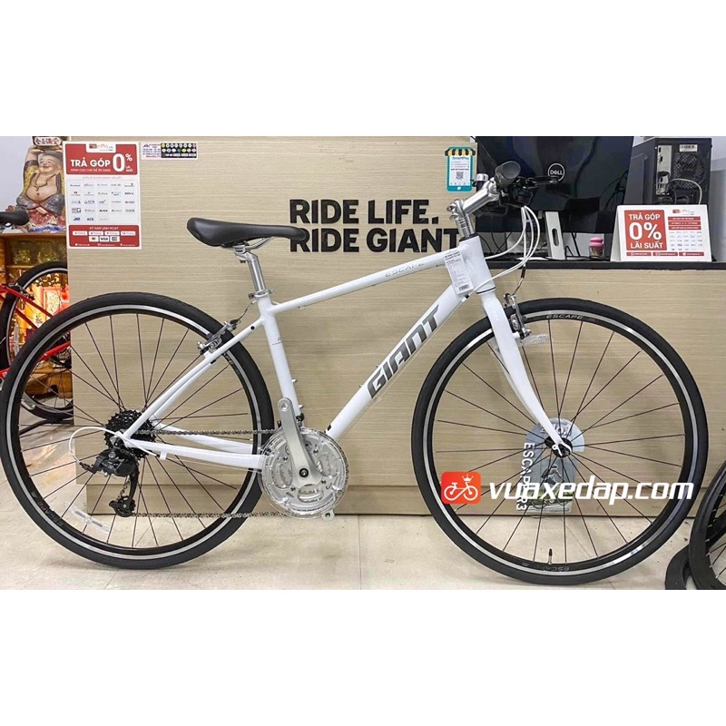 Xe đạp đường phố GIANT ESCAPE R3 MS 2022