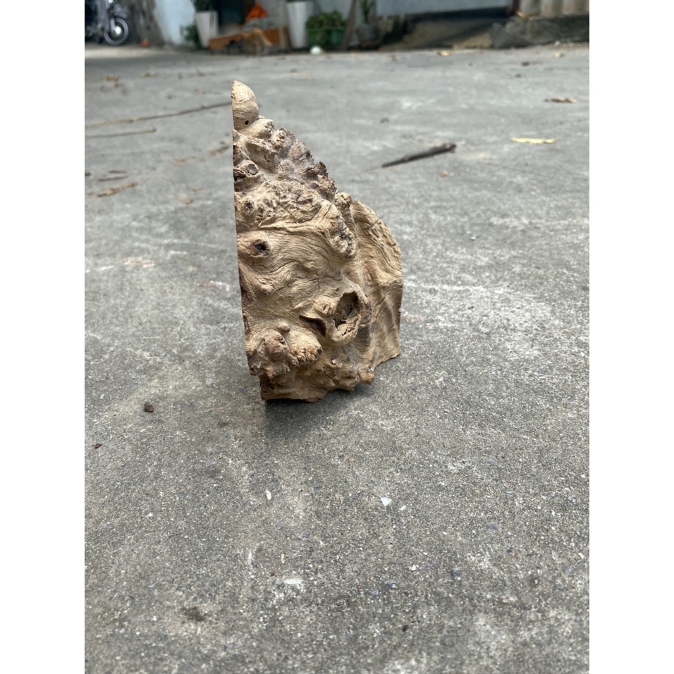 Gỗ nu nghiến làm đèn