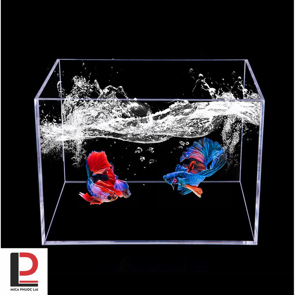 Hồ nuôi cá acrylic/ Bể cá mini/ Hồ show cá
