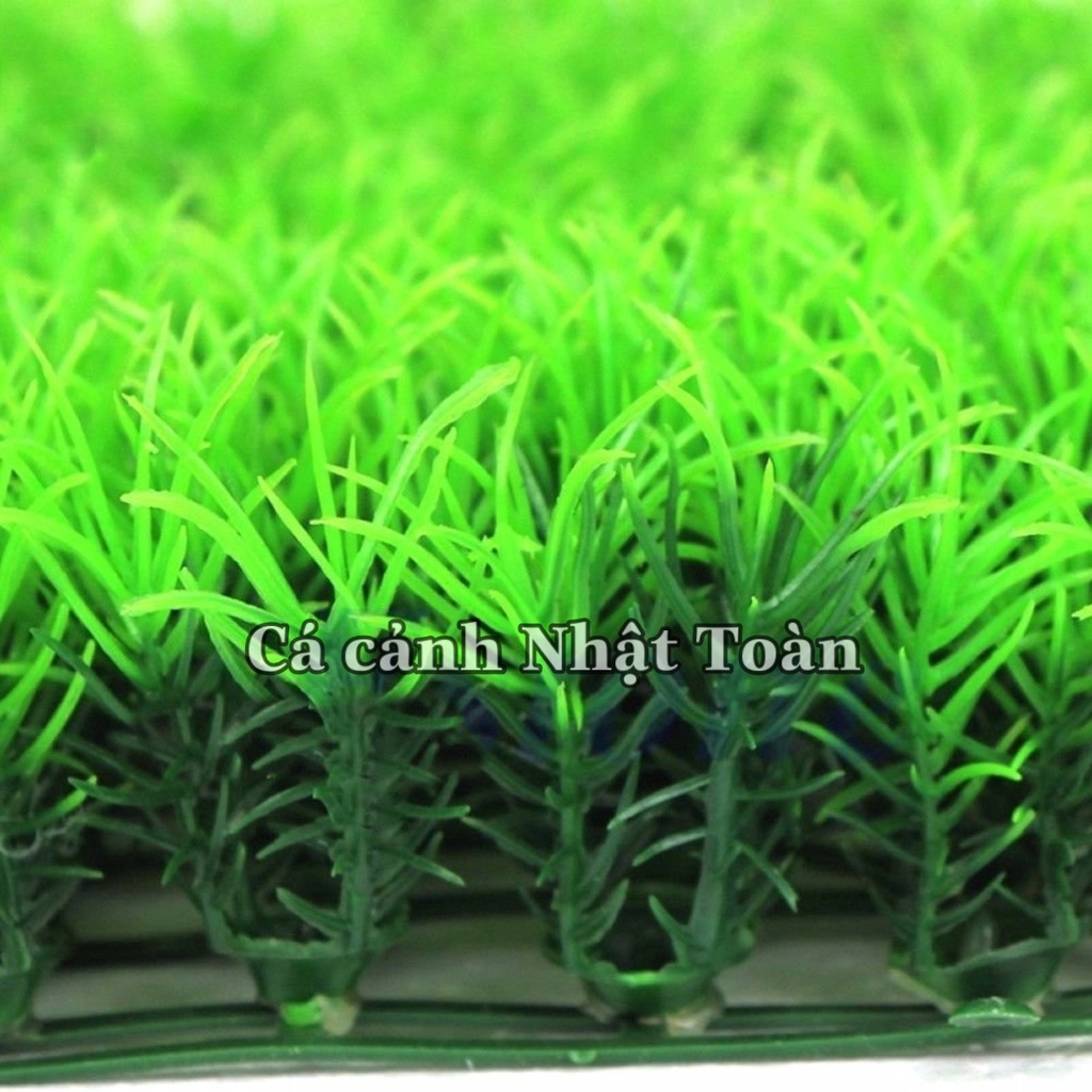 THẢM CỎ NHÂN TẠO BÔNG TRANG TRÍ HỒ CÁ TIỂU CẢNH 25X25CM