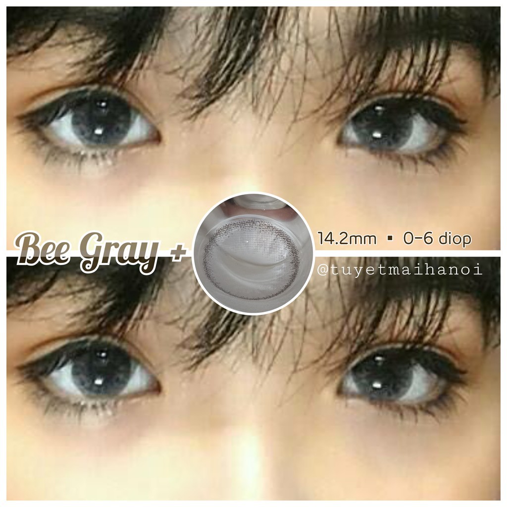 [Bán giá gốc]  Lens Xám Tây Bee Gray Hàng Cao Cấp 2020 Cận 0-6 Độ - Kính Áp Tròng Hàn Quốc