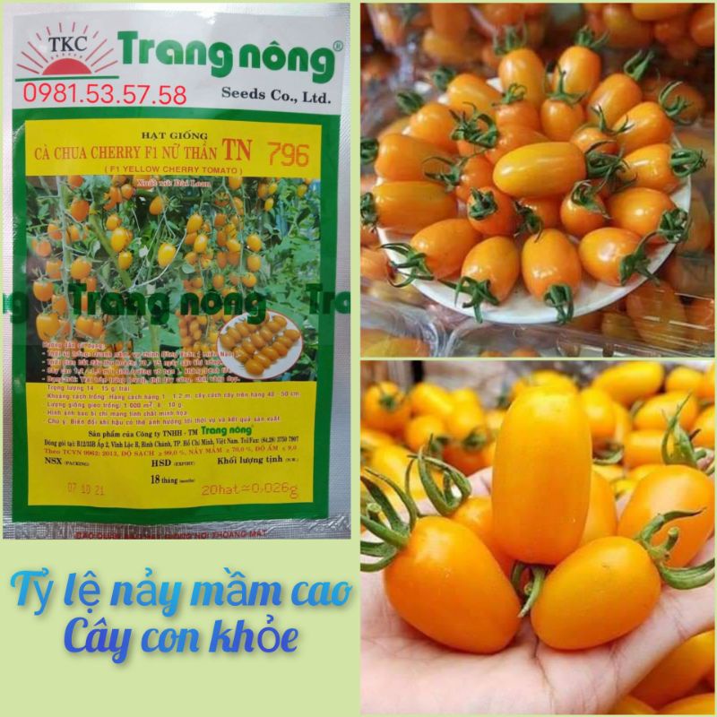 Hạt giống cà chua trái cây ngọt, cà chua cherry vàng, cà nova gói 20 hạt