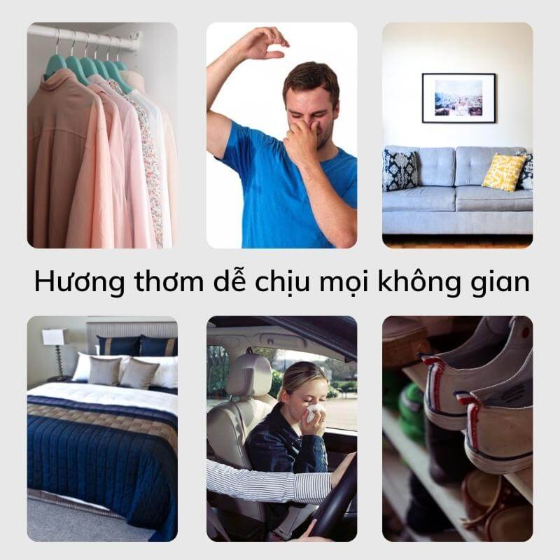 Nước hoa vải ylang ylang tinh dầu hoa ngọc lan tây cao cấp chillme