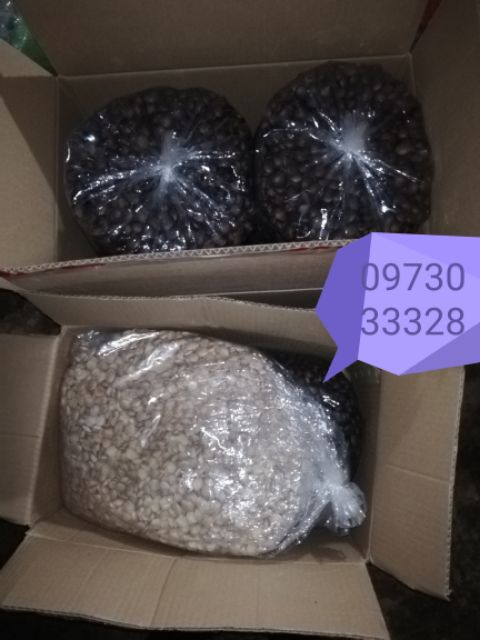 500g HẠT SACHI RANG MUỐI - SẤY ĂN LIỀN