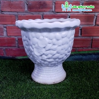 Chậu sứ dạng ly 38x42cm