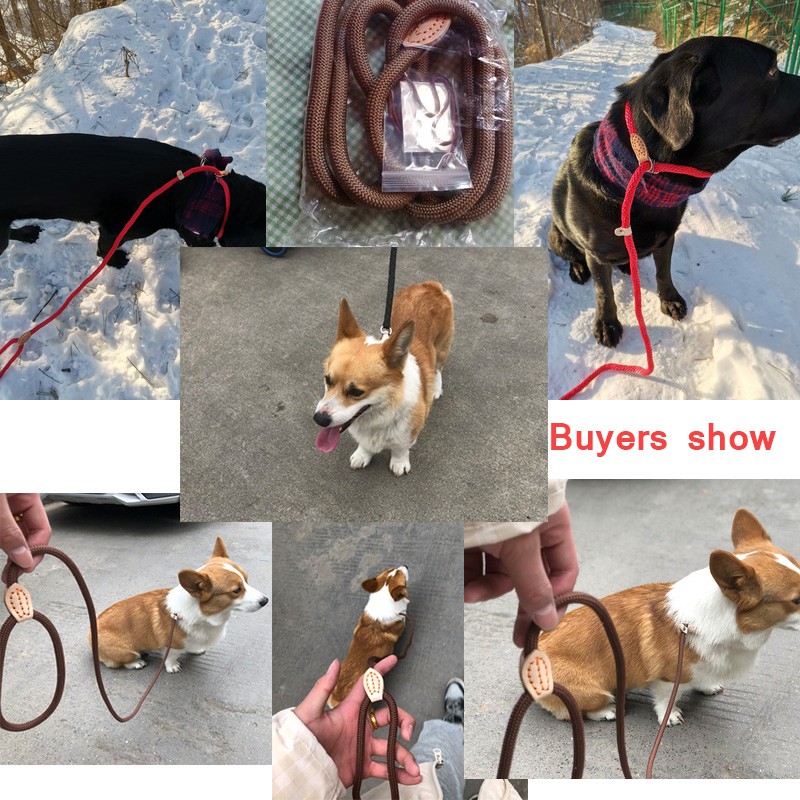 Dây Dắt Thú Cưng Đi Dạo Chất Liệu Da Nylon Chắc Chắn