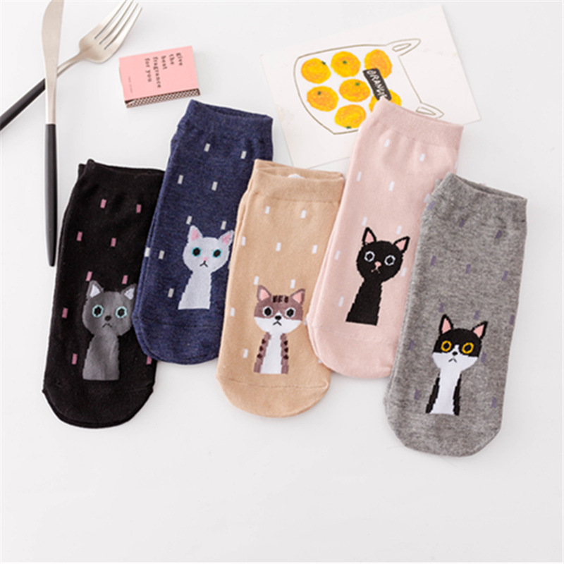 Bộ 5 đôi tất họa tiết hoạt hình xinh xắn ngộ nghĩnh dành cho nữ