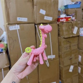 Gặm nướu chuối Mỹ/ Hươi