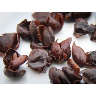 Trà Vỏ Cà Phê - Cascara - Leo Arabica