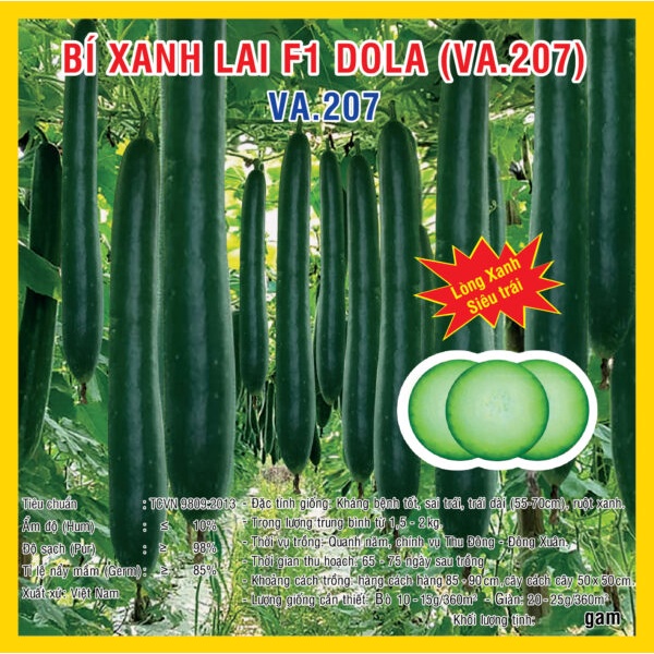 Hạt giống bí xanh lai F1 Dola VA.207 - 10gam