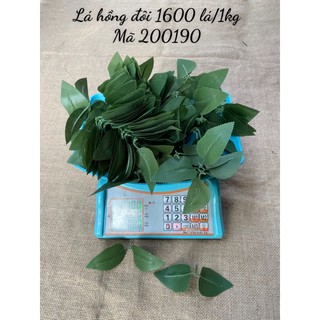 lá hồng các loại