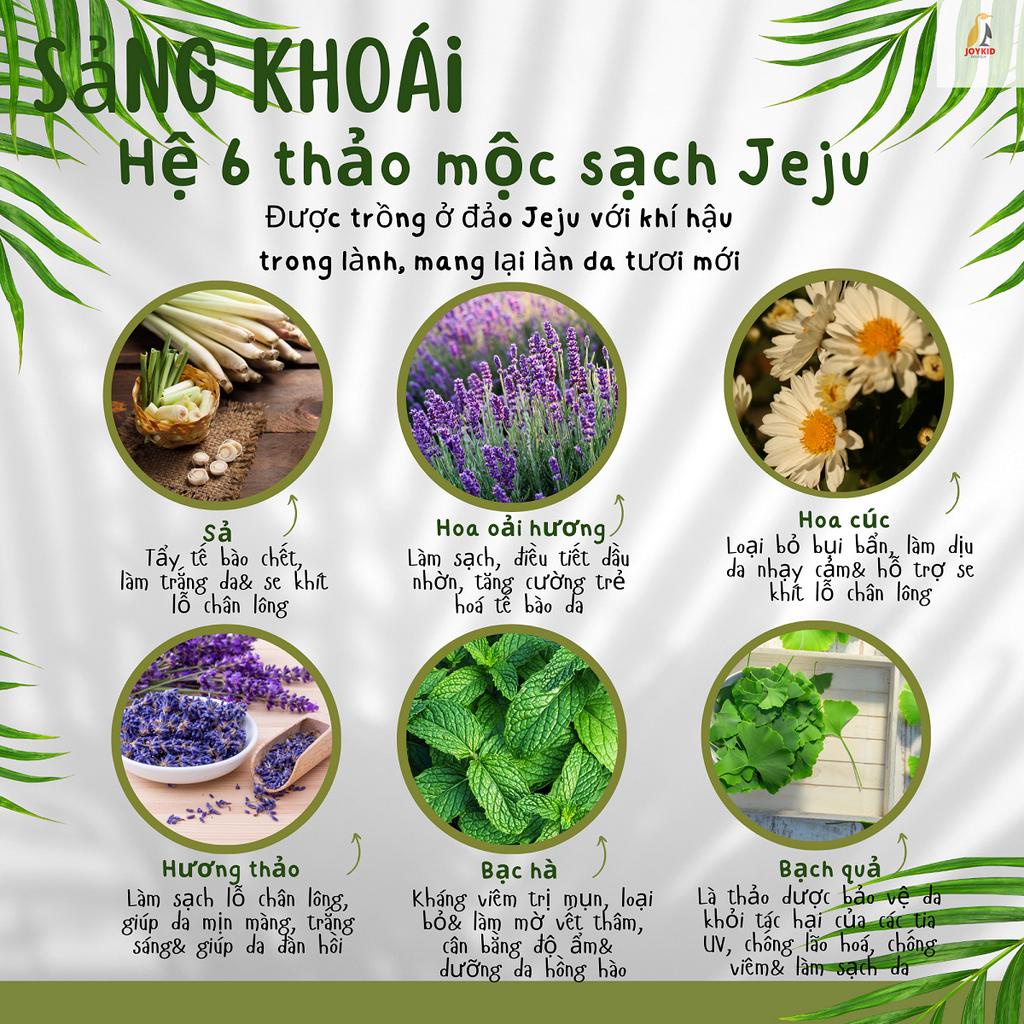 Sữa rửa mặt Ginkgo Cleansing Foam cây bạch quả làm sạch sâu, trắng sáng, dưỡng ẩm da Charmzone Hàn Quốc 200g