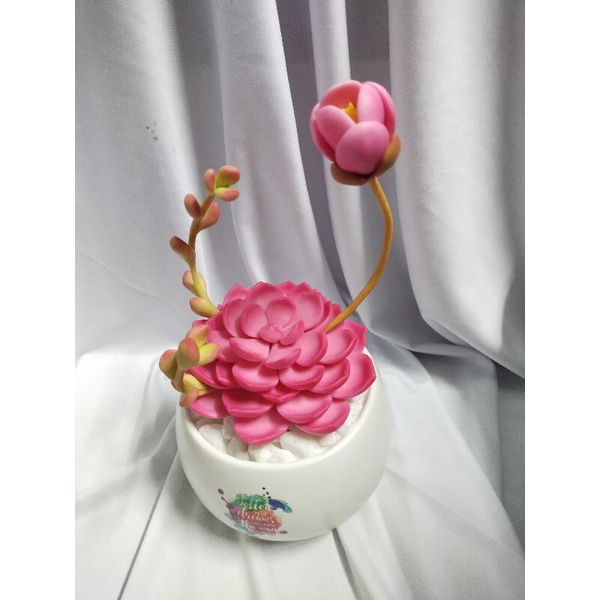 Chậu sen đá đất sét