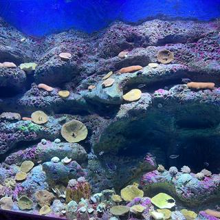 Đồ câu giá sỉ Thanh Huy