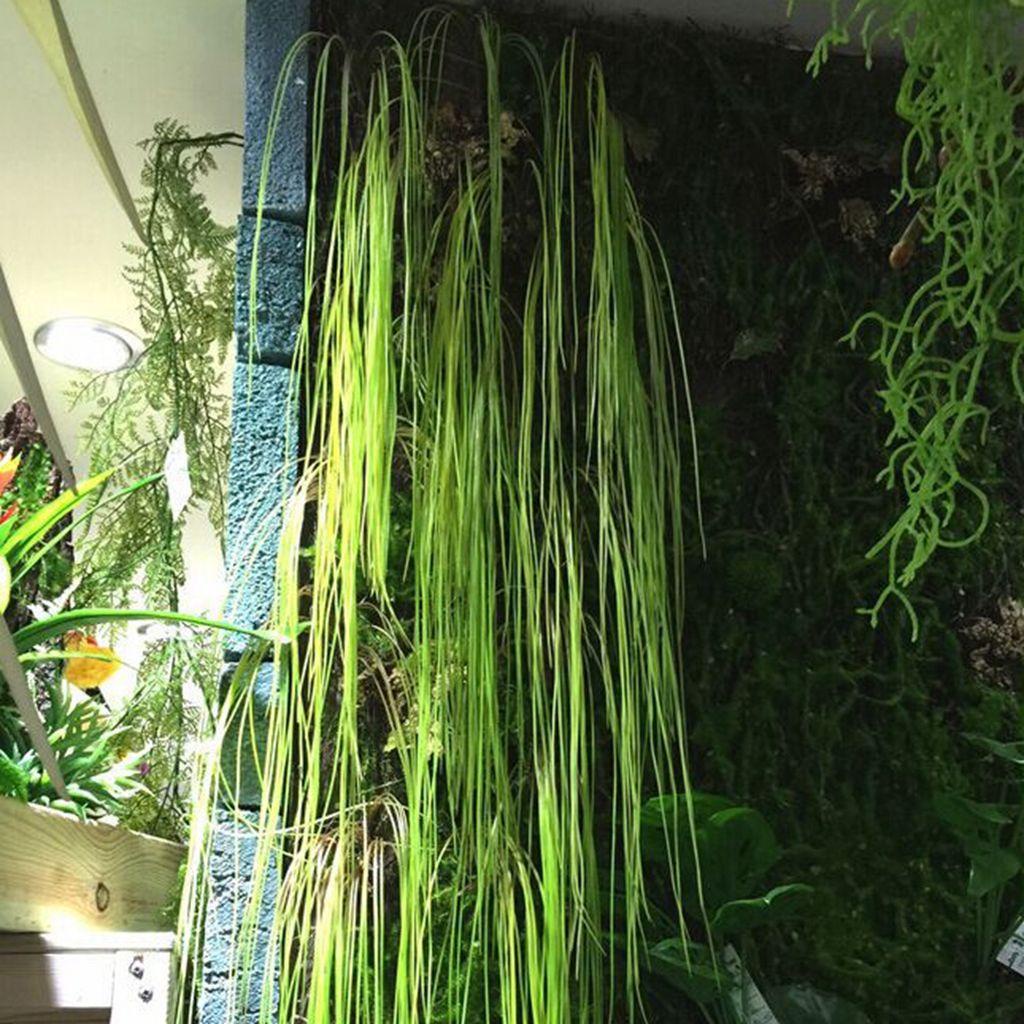 Lloyd Hoa Cỏ Nhựa Nhân Tạo Treo 1 Cái Thanh Lịch Tươi Tắn Chất Lượng Cao|Cây Giả Trang Trí Nhà Cửa Sinh Động