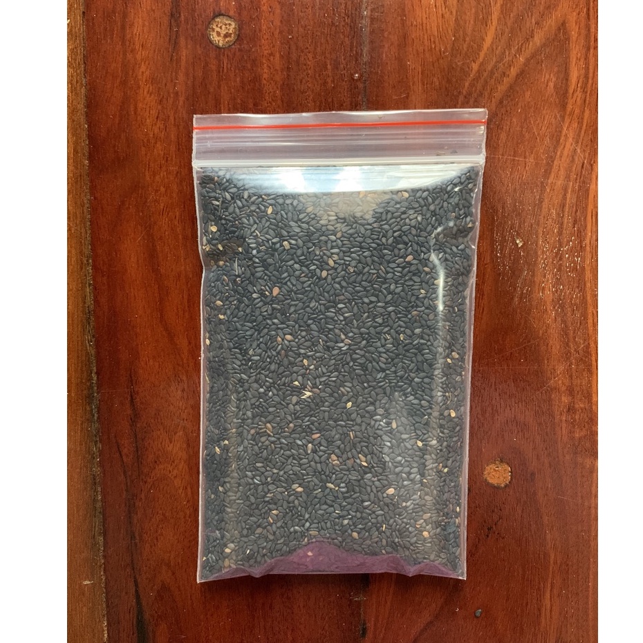 Mè đen cho Hamster