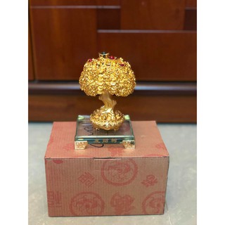 Cây tiền vàng đế thủy tinh cao 14cm