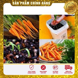 Hạt Giống Cà Rốt Mini(100 hạt)