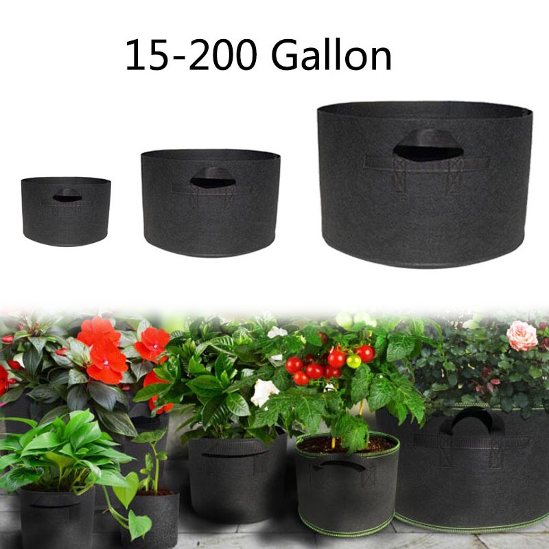 15 20 30 200 Gallon Trồng Cây Túi Nồi Vải Dâu Rau Jardin Trồng Không Dệt VND1