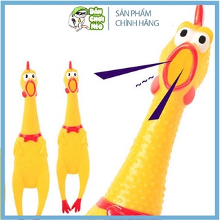 Gà la hét vui vẻ-shrilling chicken - dân chơi mèo petshop
