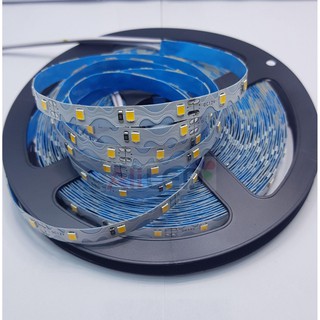 Cuộn 10m Led zigzac 60 led uốn gấp khúc ( S led)