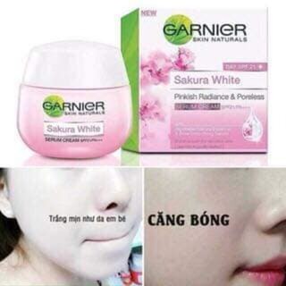 Kem Dưỡng Ẫm Da Garnier Nga