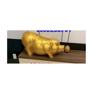 Heo đất tiết kiệm phong thuỷ
