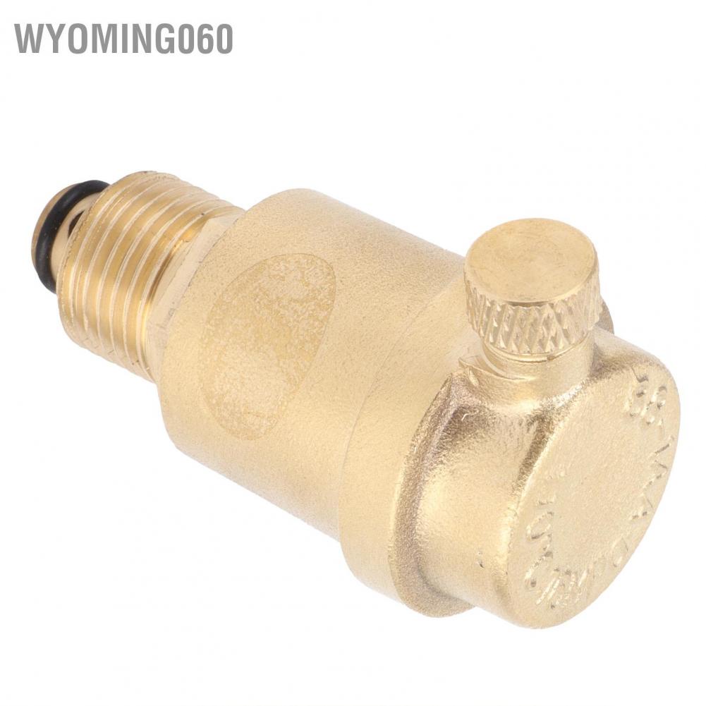 Wyoming060 G1 / 2 Van xả khí chủ đề nam thông gió tự động cho hệ thống HVAC sưởi ấm t