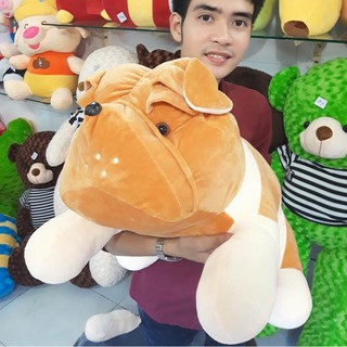 GẤU BÔNG CHÓ MẶT XỆ NHỒI BÔNG TO MẬP SIZE LỚN