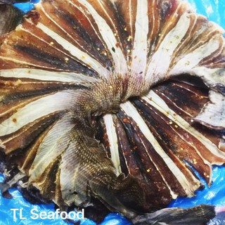 CÁ ĐUỐI/ CÁ ĐUỐI KHÔ/ KHÔ CÁ ĐUỐI ĐEN CHẤT LƯỢNG CAO 500G, 1KG