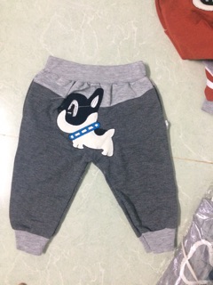 Quần mông thú 8-16kg