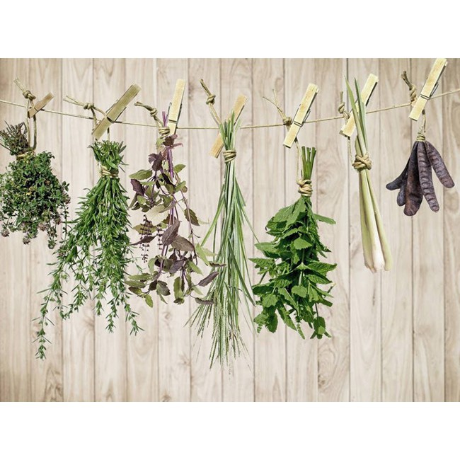 Dầu gội NATURE QUEEN 100ml Sao Thái Dương Chính hãng | BigBuy360 - bigbuy360.vn