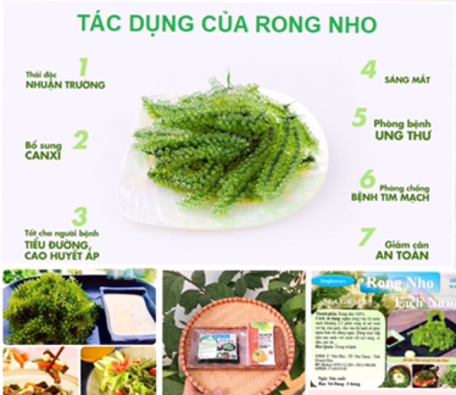 Rong nho tách nước gói 30gr. Nở ra gấp 3 lần rong nho tươi