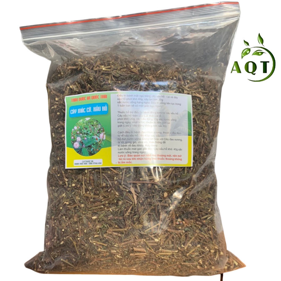 1KG Cây Xấu Hổ (Cây Mắc Cỡ, Trinh Nữ) Khô, Sạch, Giảm Đau Xương Khớp, Tốt Cho Người Gai Cột Sống
