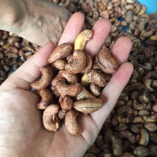 hạt điều rang muối bình phước