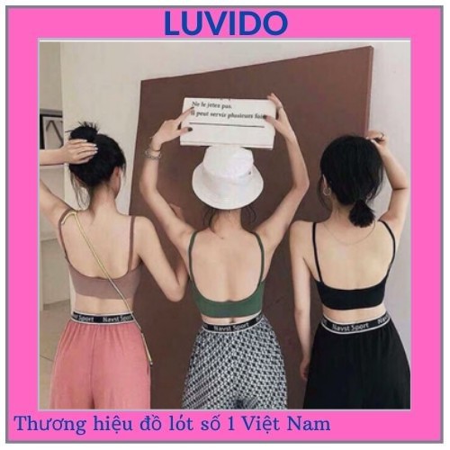 Áo bra nữ hở lưng chữ U hai dây Freesize 37-60kg LOT2