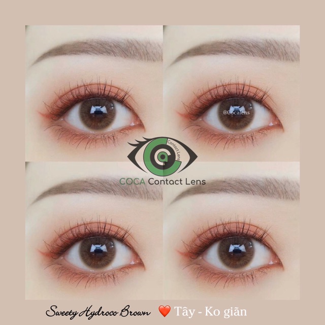 Lens Nâu tây SWEETY HYDROCO