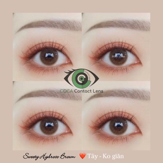 Lens nâu tây sweety hydroco