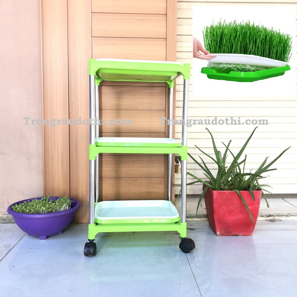 (TẶNG VÒI XỊT VÀ 200GRAM HẠT RAU MẦM ĐẬU HÀ LAN) Bộ chậu kệ trồng rau mầm lắp ghép 3 tầng 3 chậu