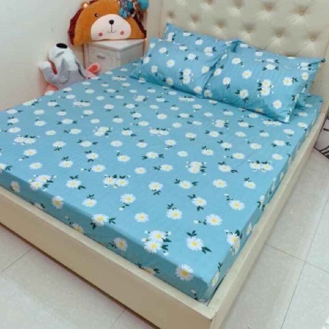 (Giá Ưu Đãi)Bộ Chăn Ga Gối Set 5 Món Cotton Poly chăn trần(Nhắn tin chọn mẫu)