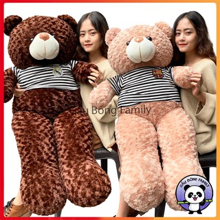 1M4 khổ, Gấu Bông teddy 1m4 khổ cao 1M2 Rẻ Vô Địch