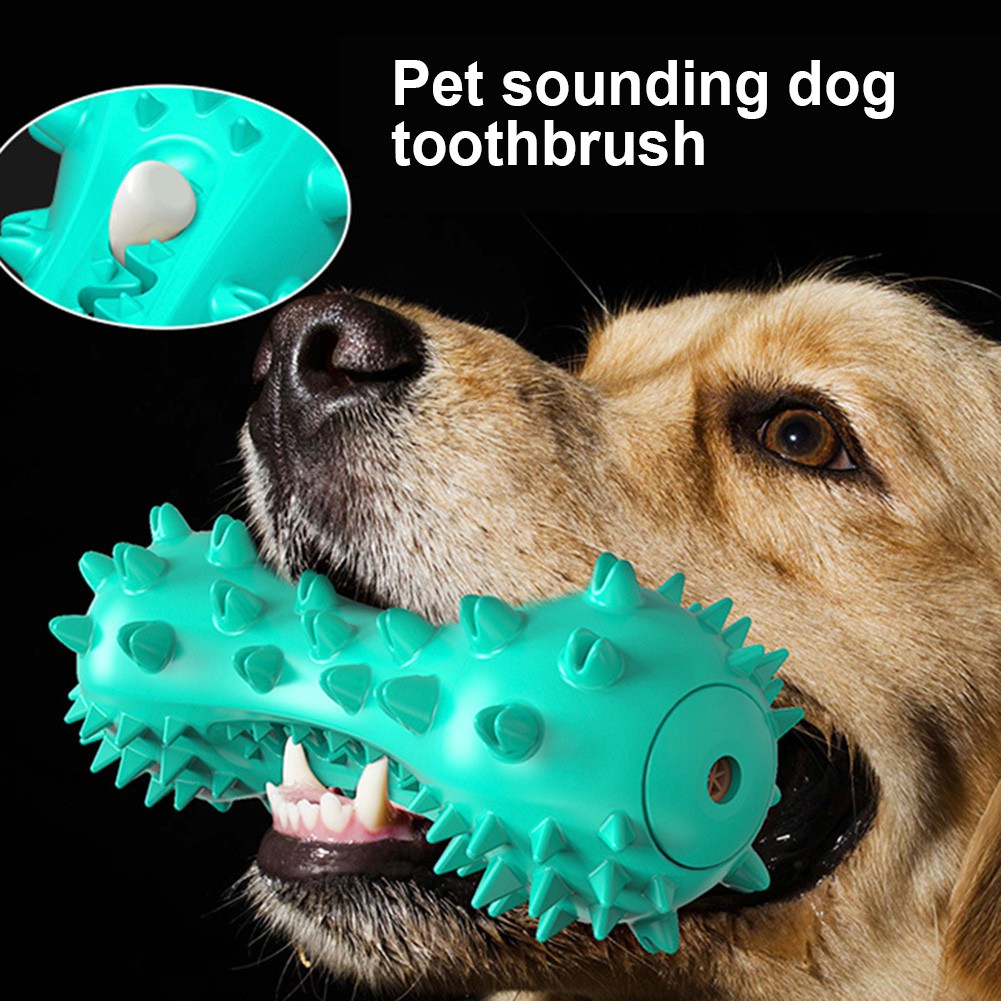 Đồ chơi nhai làm sạch răng vui nhộn cho cún cưng