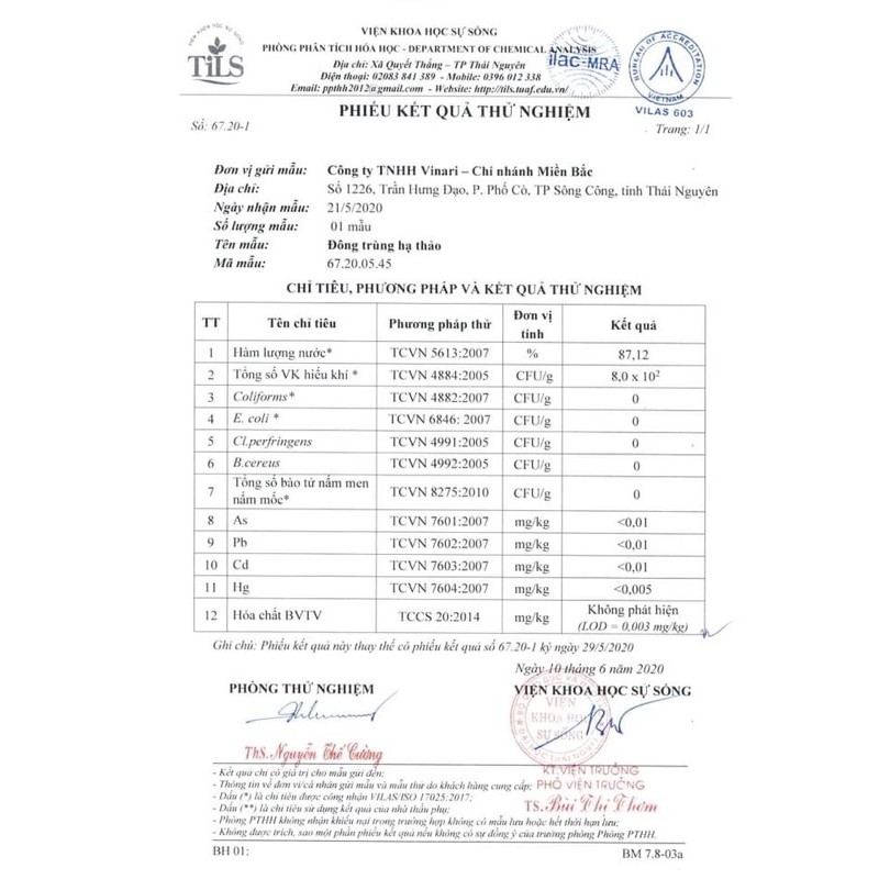Trà Đông Trùng Hạ Thảo Túi Lọc  TÂN CƯƠNG XANH