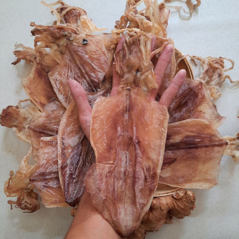 [FREE SHIP-HÀNG CHẤT LƯỢNG] Khô Mực Câu Phú Quốc Size 22-24 Con/kg Đảm Bảo Hàng Tự Nhiên, Hàng Ngon Ngọt. | BigBuy360 - bigbuy360.vn