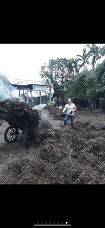 tinh dầu tràm linh đan ( nguyên chất 100%)