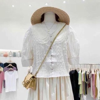 Cổ áo hàn quốc trend
